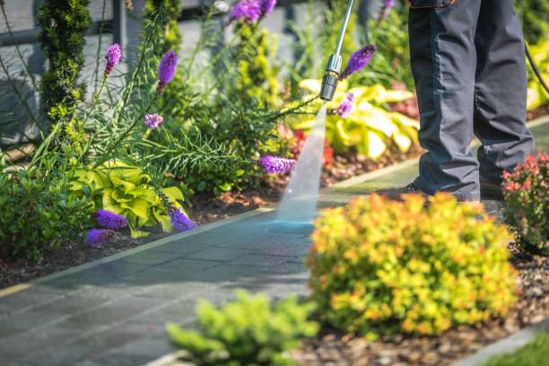 Best Soft Washing for Delicate Surfaces in St Peter, WI