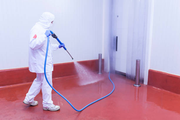 Best Pool Deck Cleaning in St Peter, WI
